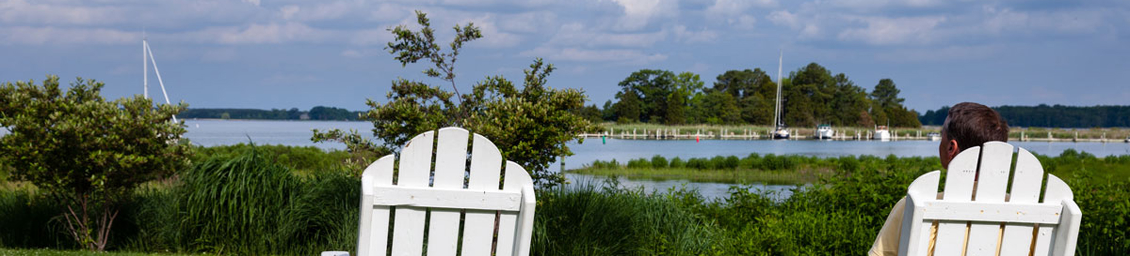 Header Image