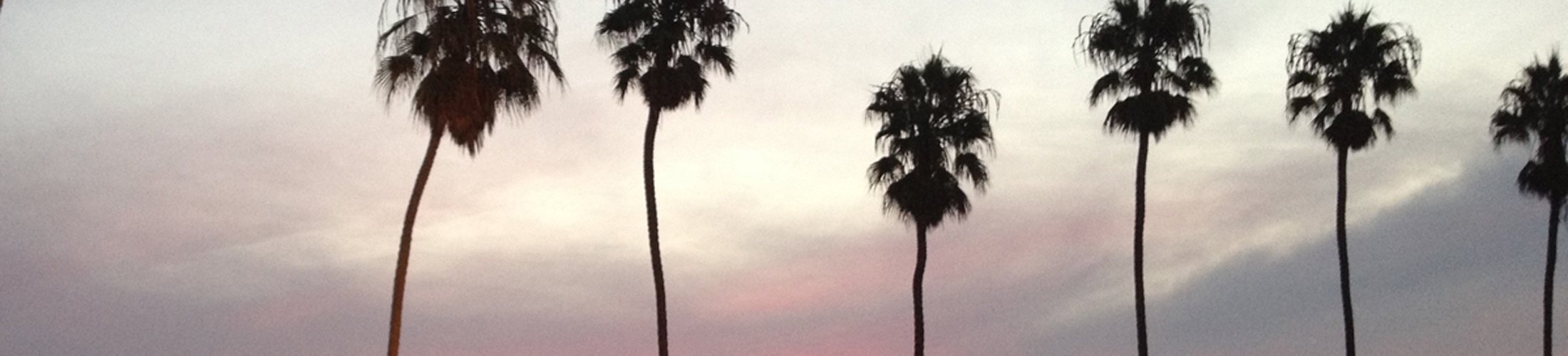 Header Image